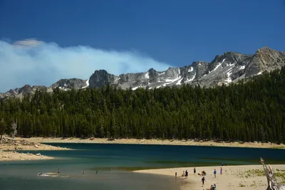 DSC_9982 (Large).JPG